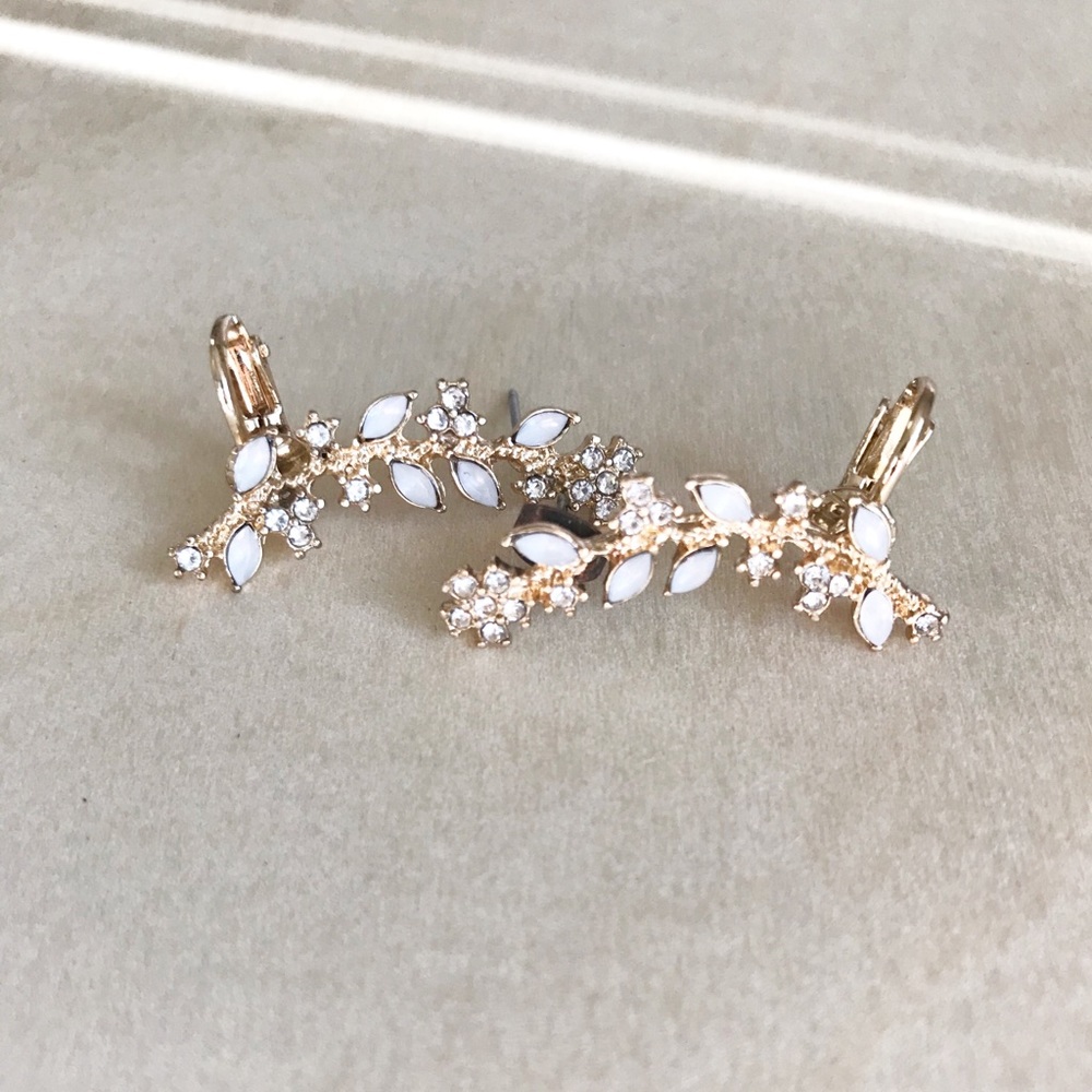 Earrings with clip on!🦚